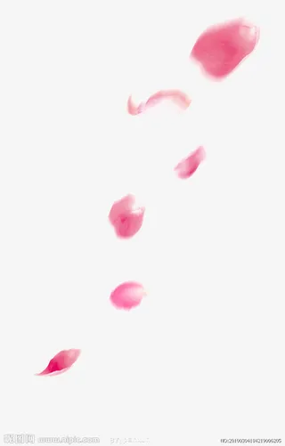 飘浮花瓣免抠