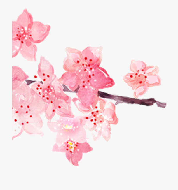 中国风手绘水彩桃花免抠