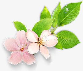 唯美清新春季桃花免抠