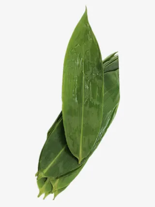 漂亮的粽叶图片素材免抠