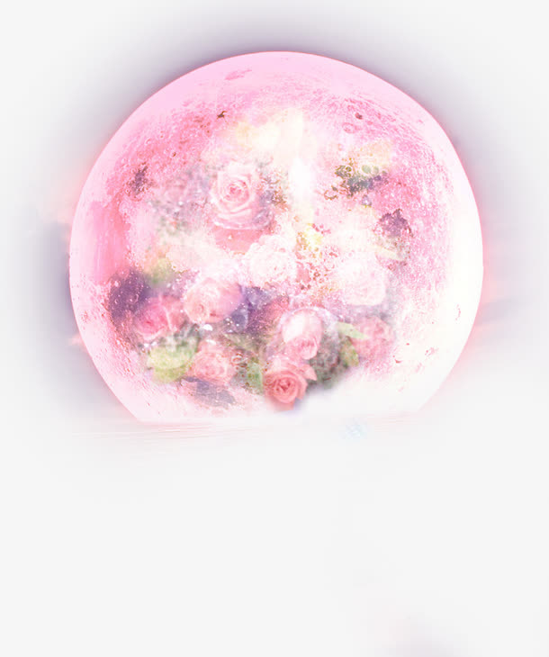 玫瑰花圆月背景