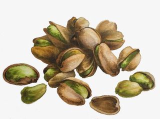 卡通开心果免抠