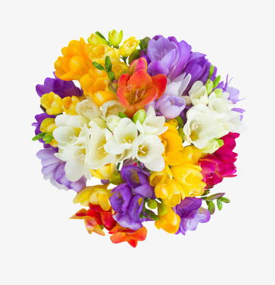 一团簇拥的紫色黄色鲜花免抠