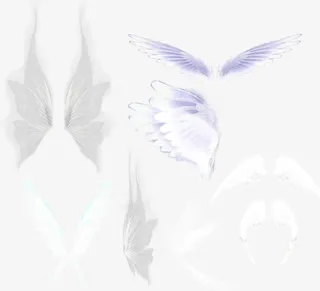 白色的羽毛免抠