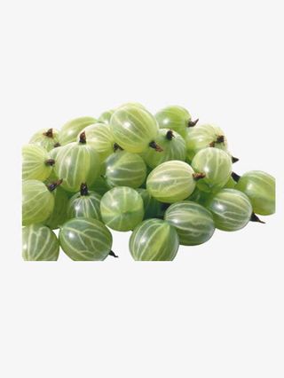 绿色灯笼果免抠