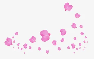 漂浮粉色花瓣免抠