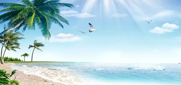 美丽的海景高清