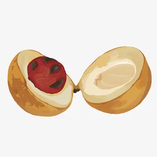 手绘画装饰免抠