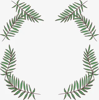 针叶树叶装饰框免抠