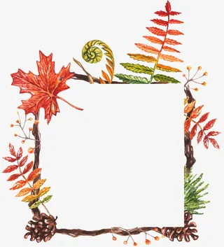 手绘花草枯枝边框相框免抠
