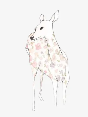 梅花鹿免抠