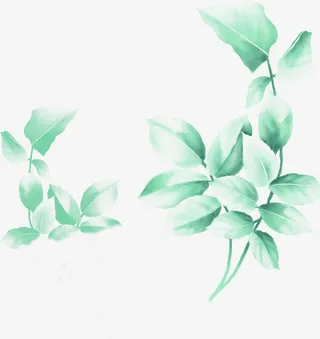 梦幻绿色花纹底纹免抠