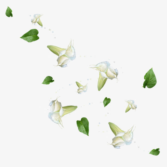 飞舞白花绿叶免抠
