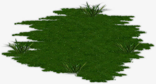 绿色植物草地PNG素材免抠