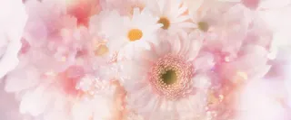 鸟语花香浪漫背景