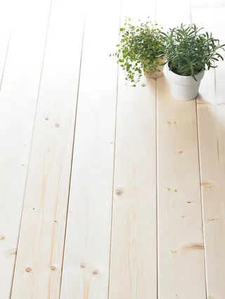 白色地板上绿色植物海报背景免抠