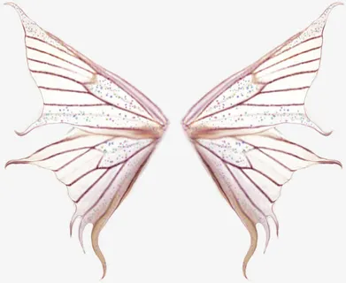 粉色蝴蝶翅膀PNG素材免抠