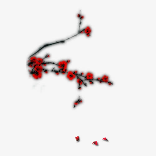 红色梅花花枝图片免抠
