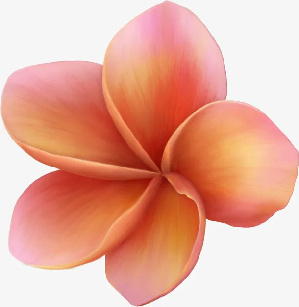 手绘鲜花春季素材14免抠