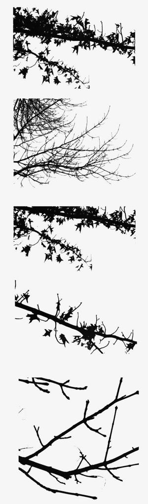 水墨树枝免抠