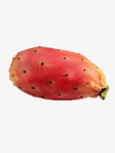 仙人果免抠