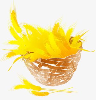 手绘麦穗芒种二十四节气插图免抠