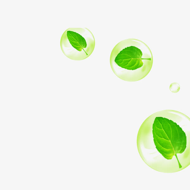 漂浮树叶免抠