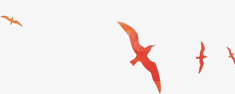 漂浮鸟大雁飞翔装饰免抠