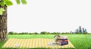大树草坪休闲背景免抠素材免抠