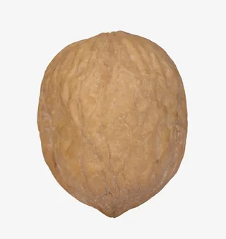 新鲜核桃特写免抠