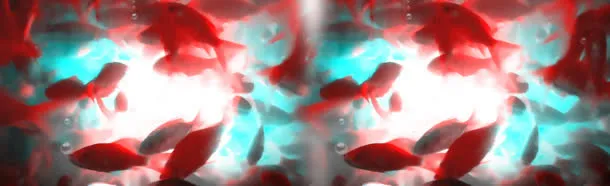 金鱼清新背景banner