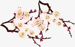 手绘梅花边角装饰免抠