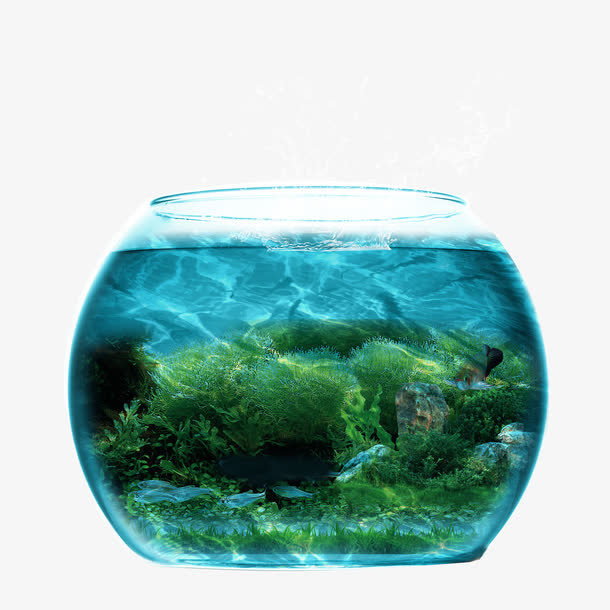 海底世界金鱼缸免抠