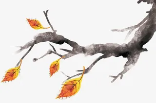 手绘黑色树枝黄色树叶免抠