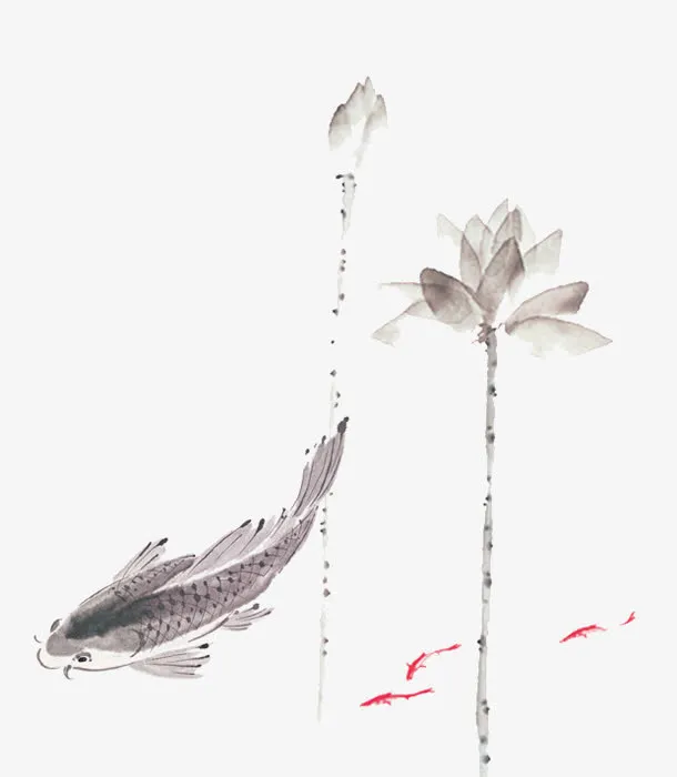 中国风水墨鲤鱼免抠