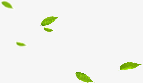 落叶归根免抠