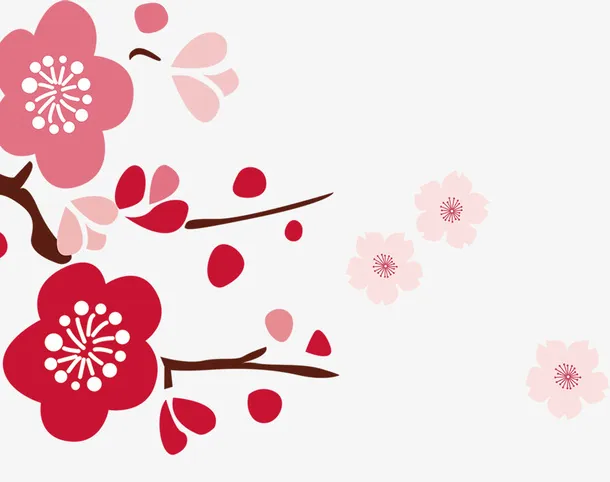 梅花，花，喜庆，节日免抠