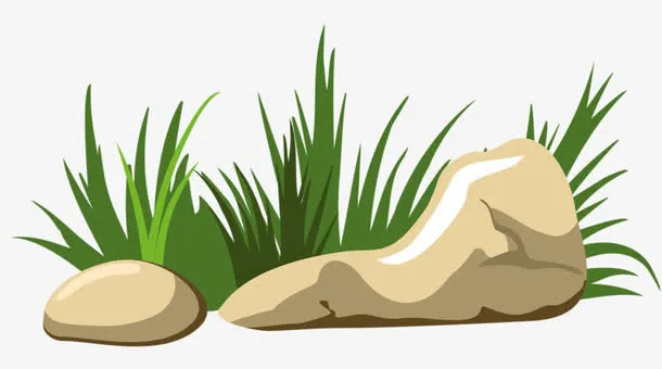 石头堆里的杂草免抠