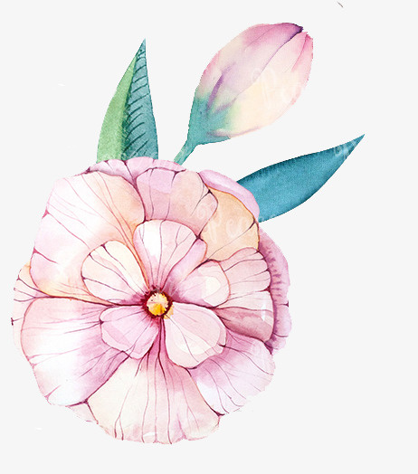 手绘花朵免抠