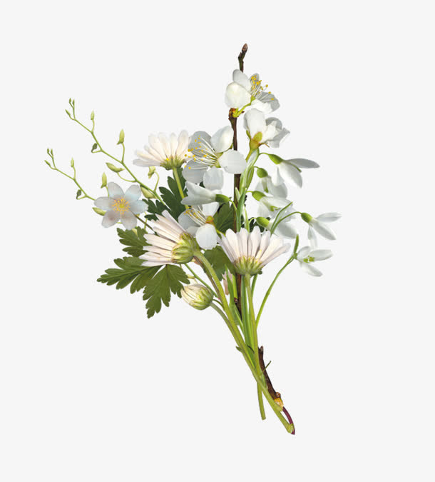 白色小菊花花束免抠