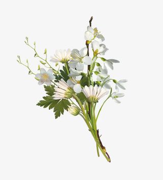 白色小菊花花束免抠