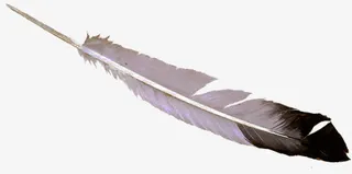 黑白简约水墨羽毛免抠