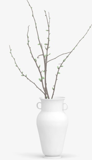 花瓶插花免抠