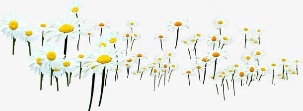 白色春天卡通风景花朵免抠
