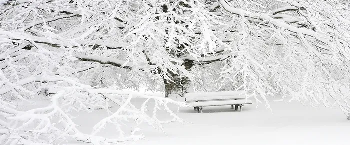 唯美公园冬日雪景风景海报背景图高清