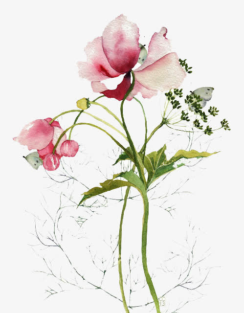 一束鲜花免抠