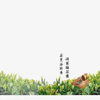 绿色水墨山水茶文化免抠