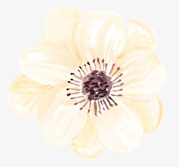 橘黄淡雅花蕊免抠