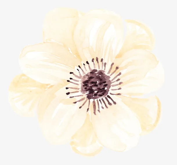 橘黄淡雅花蕊免抠