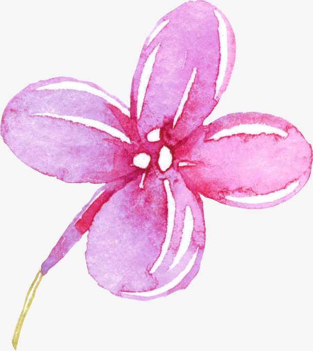 漂浮花免抠